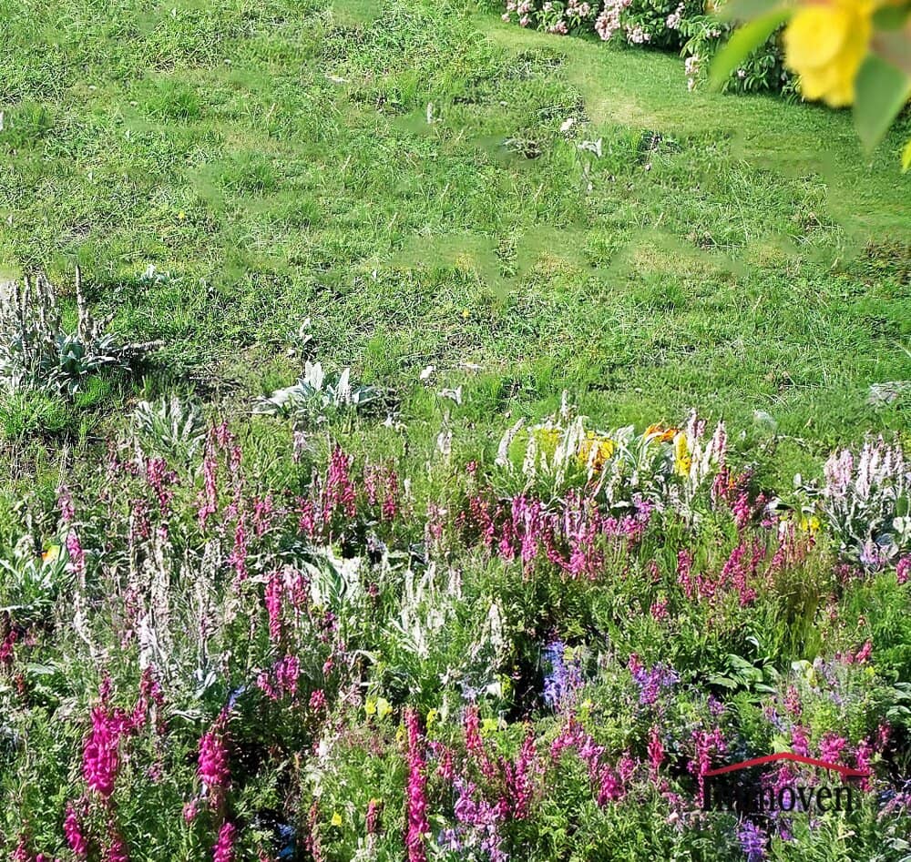 Attractive and quiet location Sunny plot with existing building Price on request