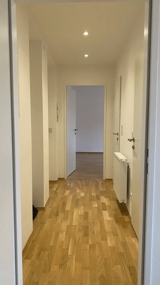 3-room apartment near university, central