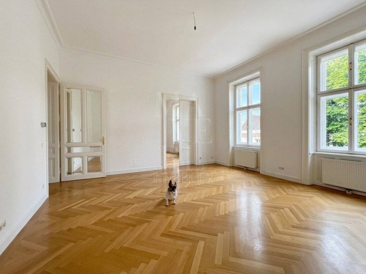 very elegant period apartment in the embassy district, beautiful building
