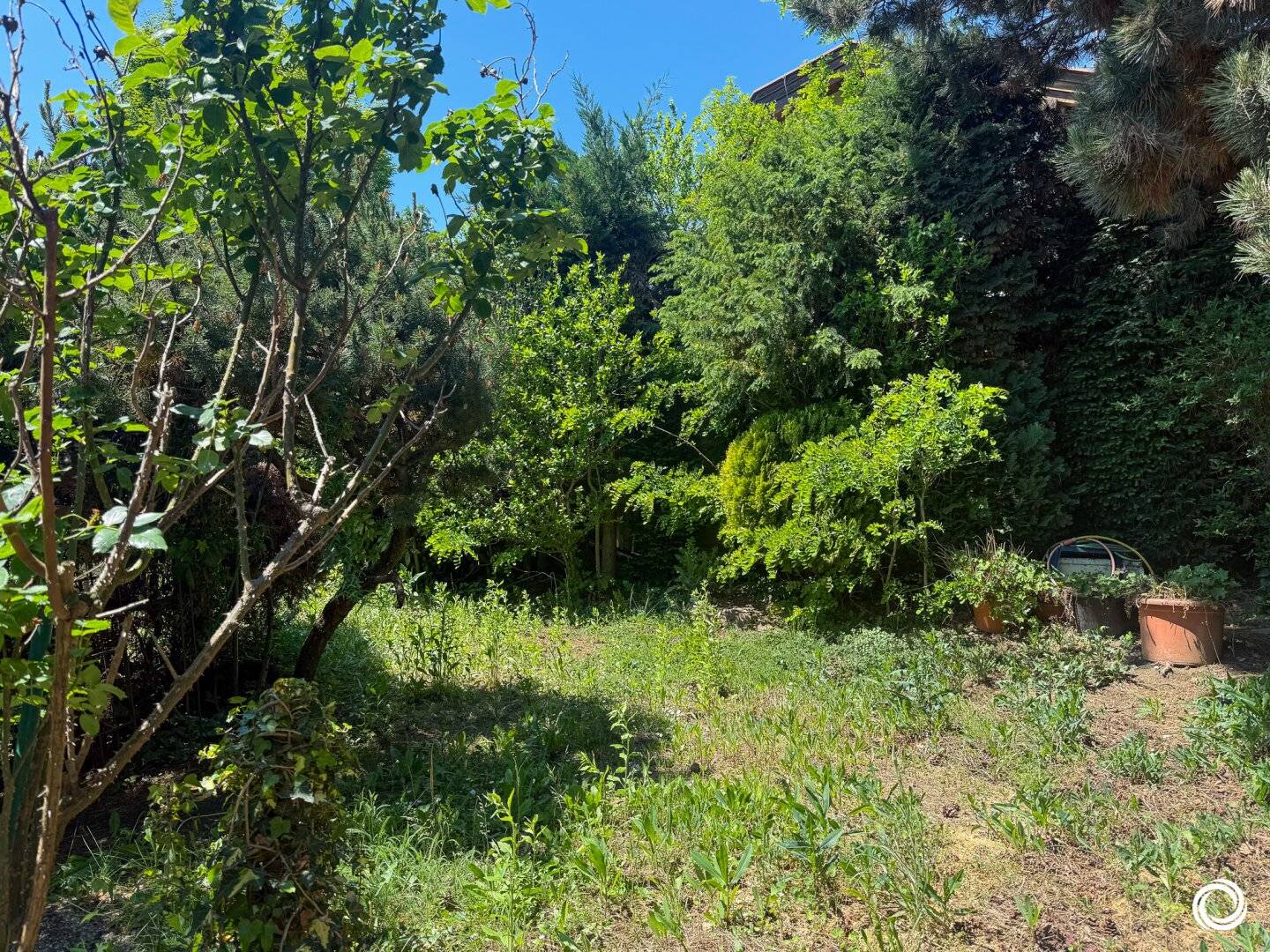 1180 // Grundstücksrarität mit unverbaubarem Panoramablick - Pötzleinsdorf Toplage!