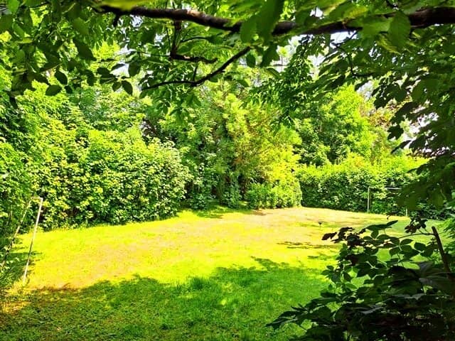 Ihr idyllischer Rückzugsort im Grünen: Naturromantik trifft urbane Erreichbarkeit -  806 m² ebenes Baugrundstück