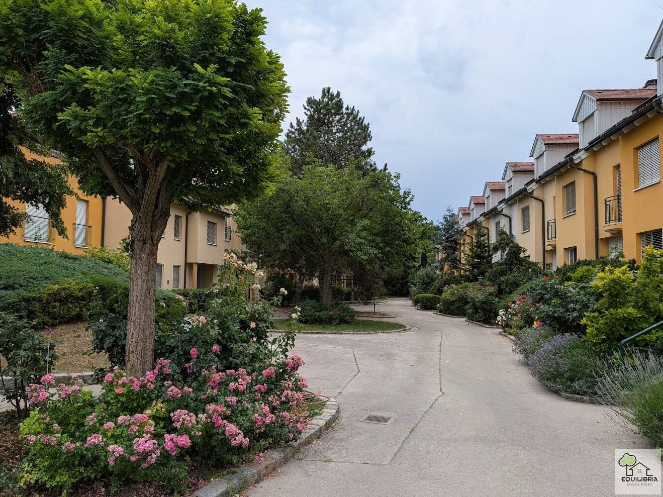 Dreamlike view - Spacious terrace apartment with distant view