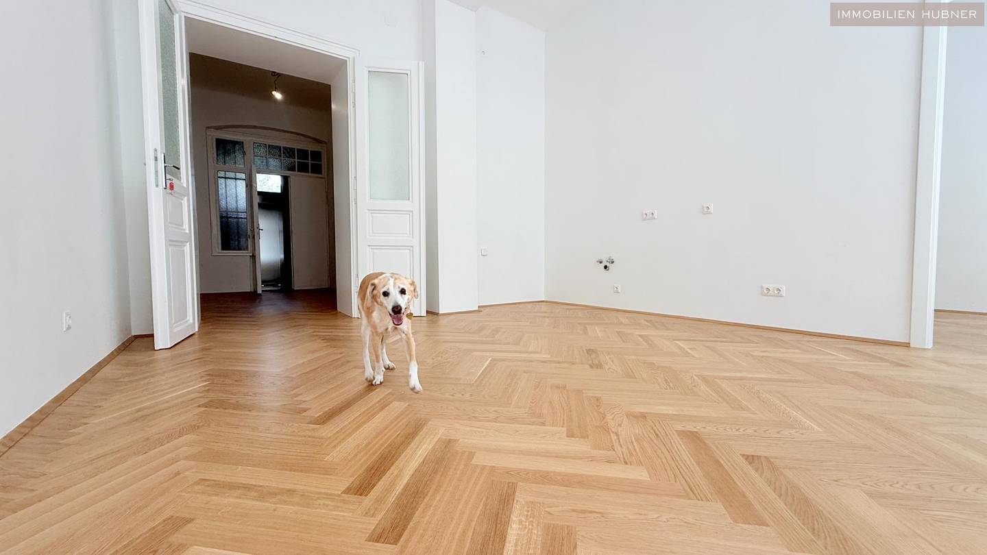 Lichtdurchflutete sanierte Altbauwohnung nahe Augarten