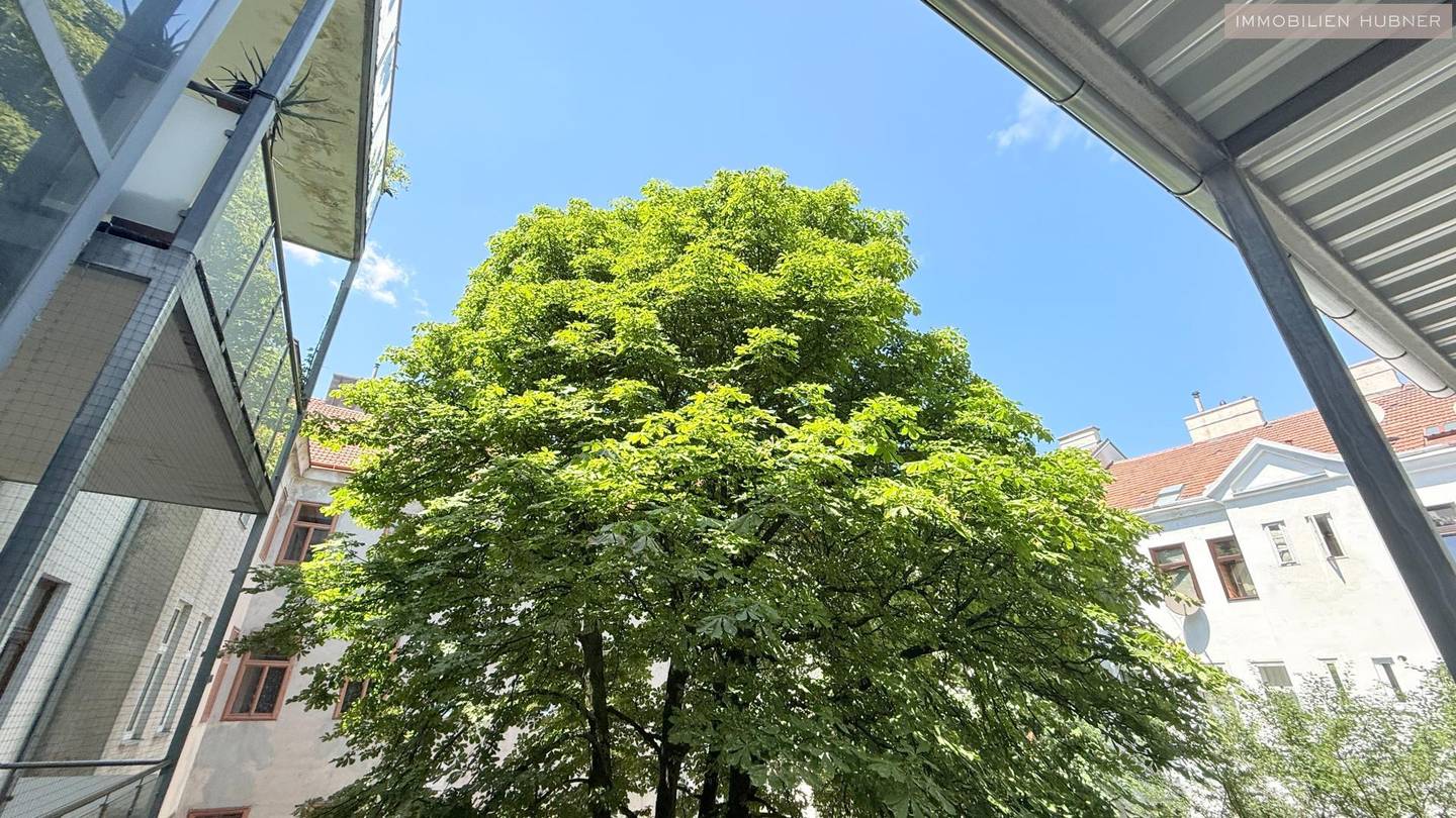 Helle Altbauwohnung mit Balkon und Innenhoflage