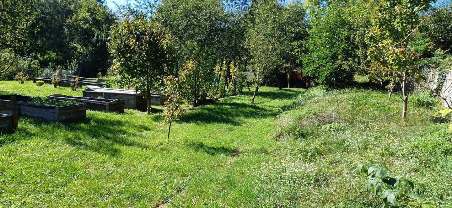 Großer Baugrund in Grünbach am Schneeberg