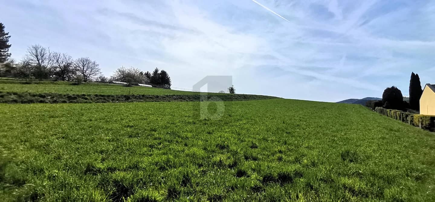 Wohnung in erhöhter Ruhelage mit unverbaubarem Weitblick