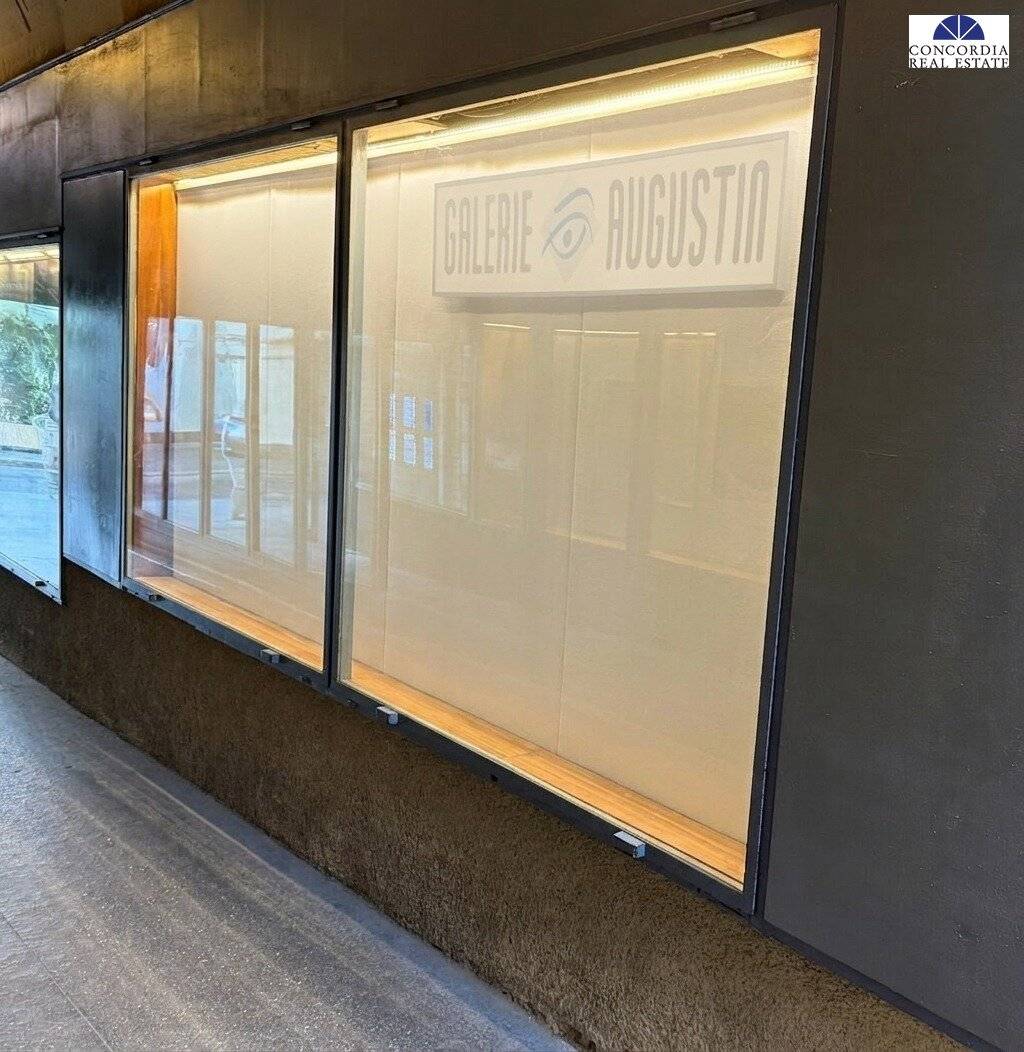 Beleuchtete Ausstellungs-Vitrine in hochfrequentierter Wiener Innenstadt-Passage zu mieten