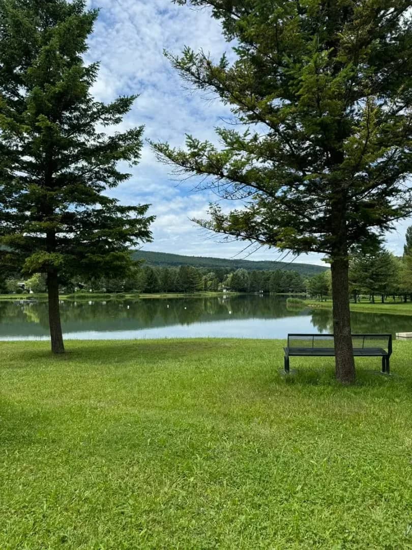 wunderschönes, neuwertiges Haus am See!!