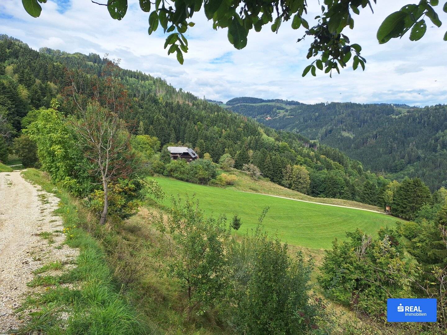 Beautifully situated agricultural property with homestead in Lower Carinthia