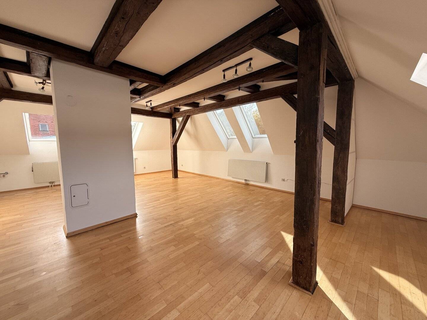 Attic Loft in a Historic House