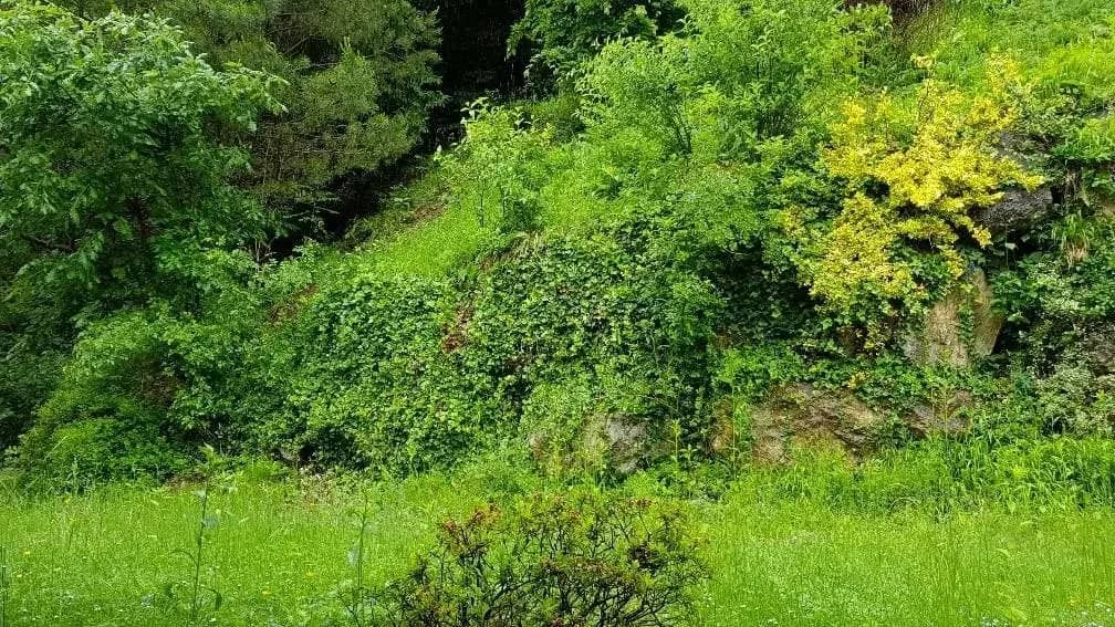 Attractive apartment in a quiet and green location in Graz