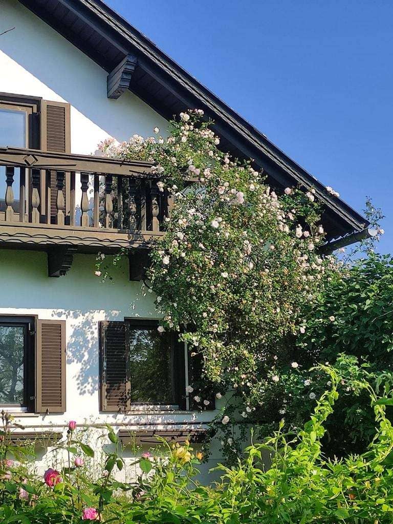 Ferienwohnung mit unverbaubarer Aussicht auf Burg und See