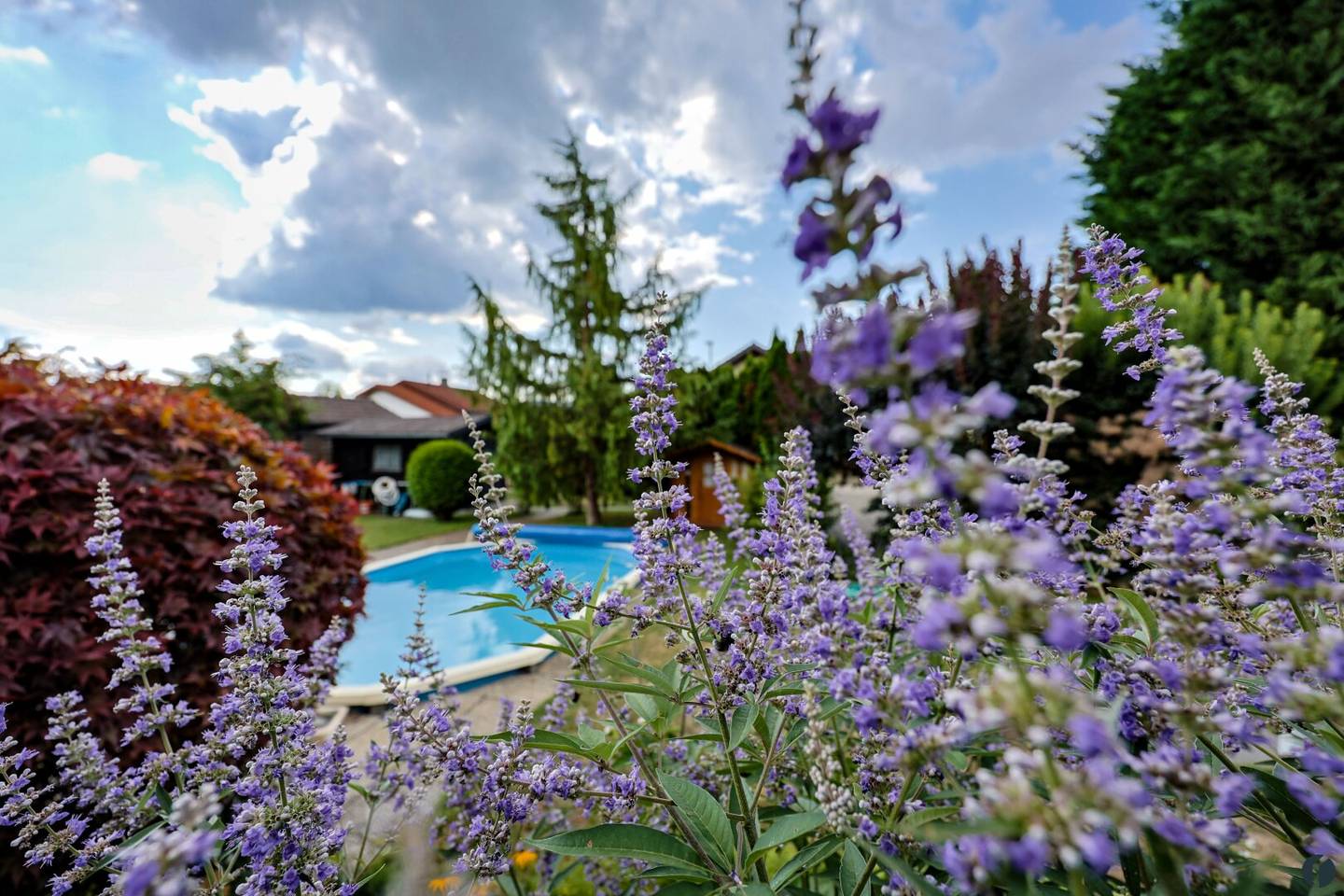 Sommerdomizil mit Pool auf großzügigem Pachtgrundstück