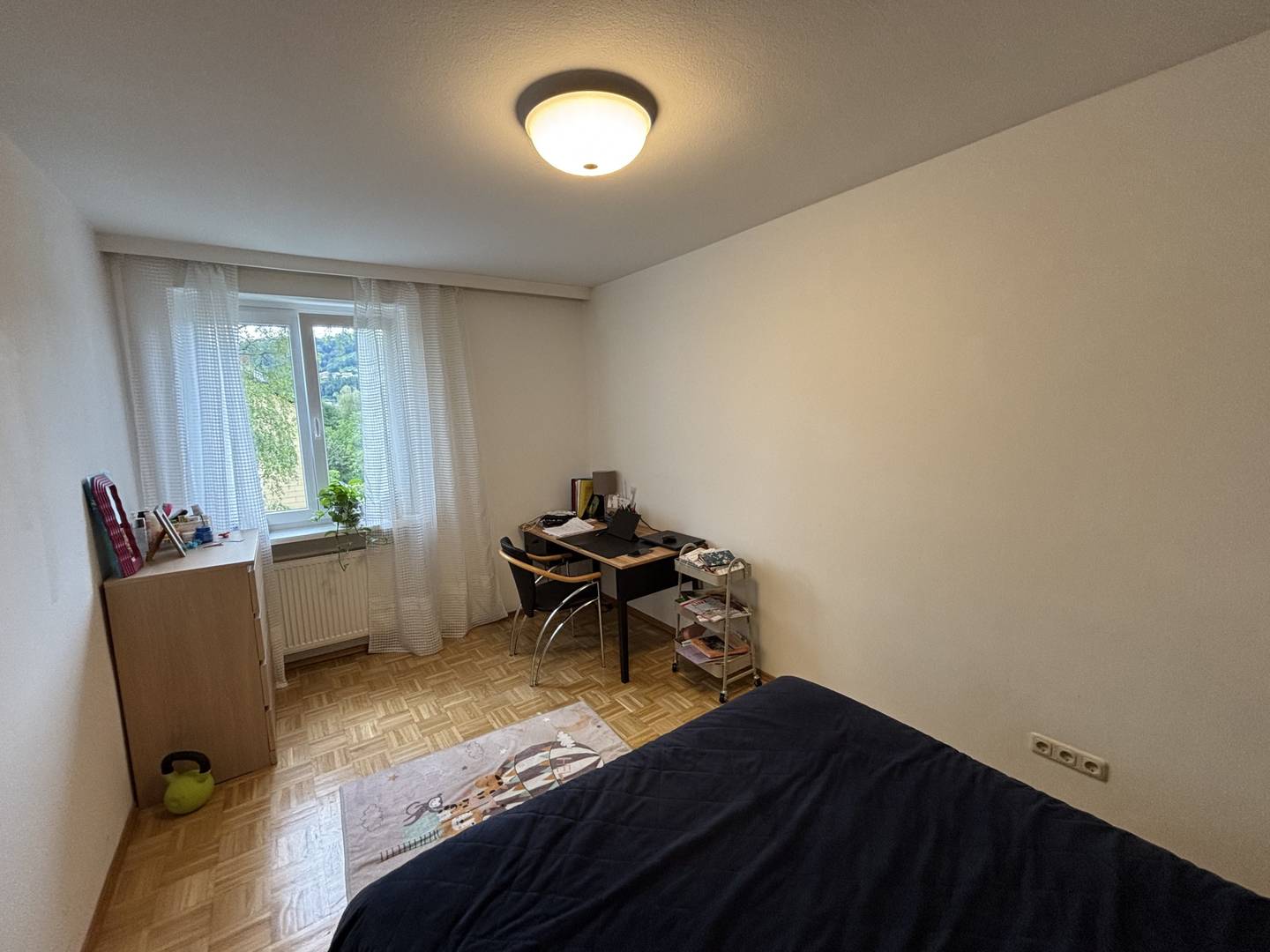 Bright Wohnung with view to Pöstlingberg and balconies