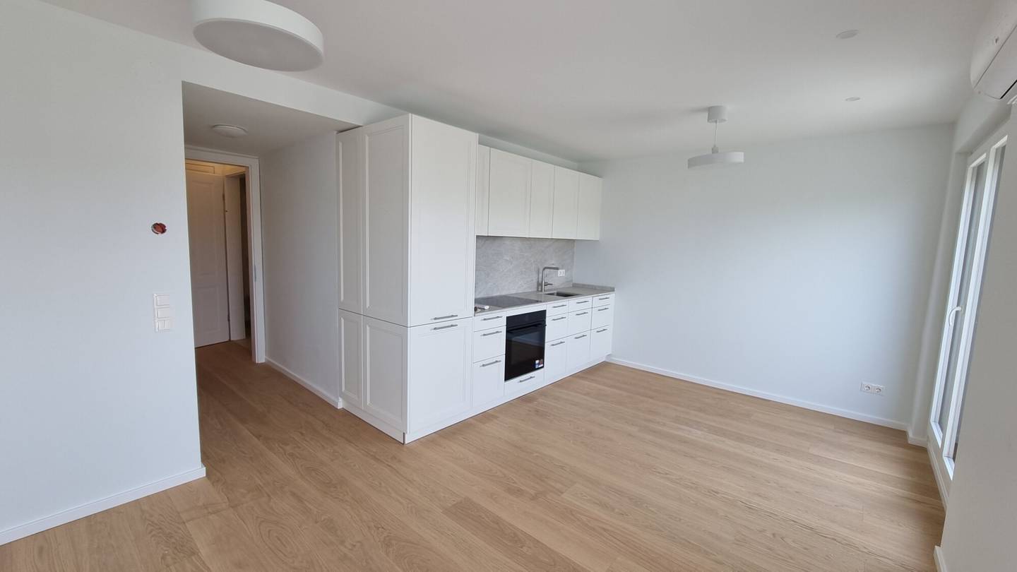 Dachgeschosswohnung with opera view and terrace