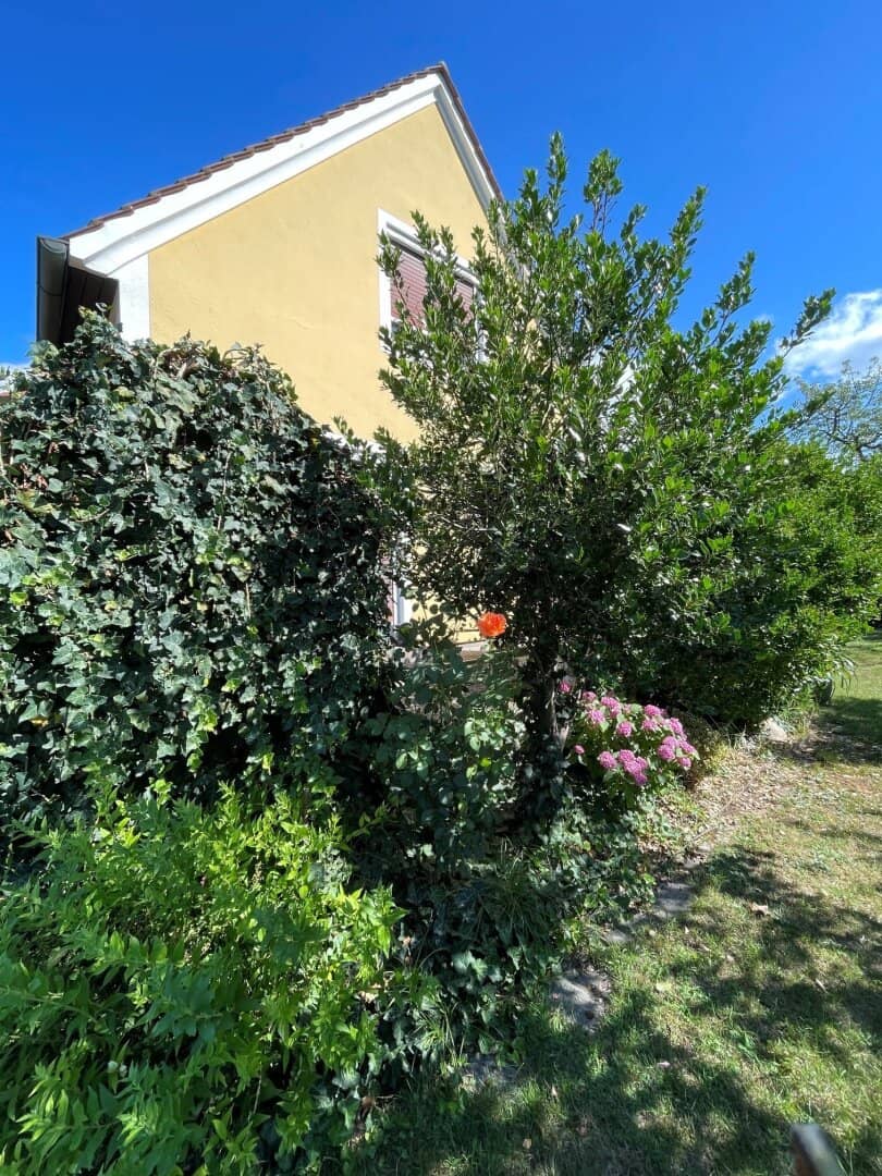 Liebenau - Seltene Gelegenheit in traumhafter Ruhelage- sonniges Grundstück mit älterem Haus und großem Potenzial !
