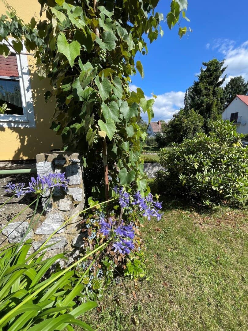 Liebenau - Seltene Gelegenheit in traumhafter Ruhelage- sonniges Grundstück mit älterem Haus und großem Potenzial !