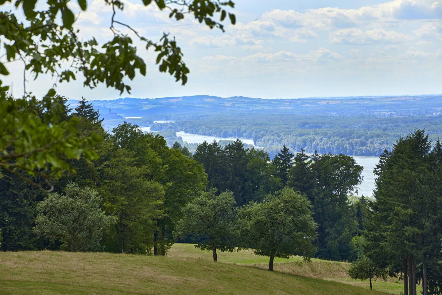 Charmante Wohnung in ruhiger Lage mit Garten und Fernblick