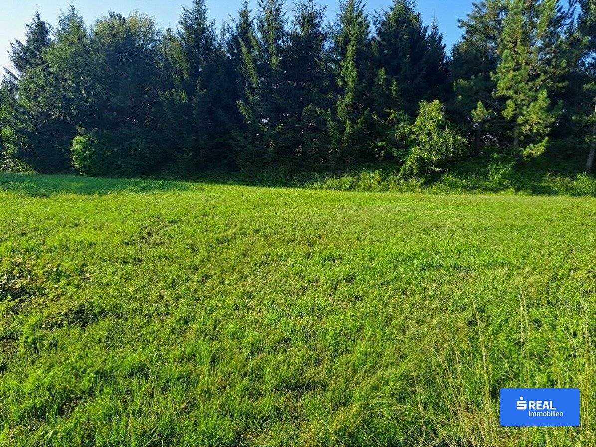 Baugrundstück im Süden von Wolfsberg