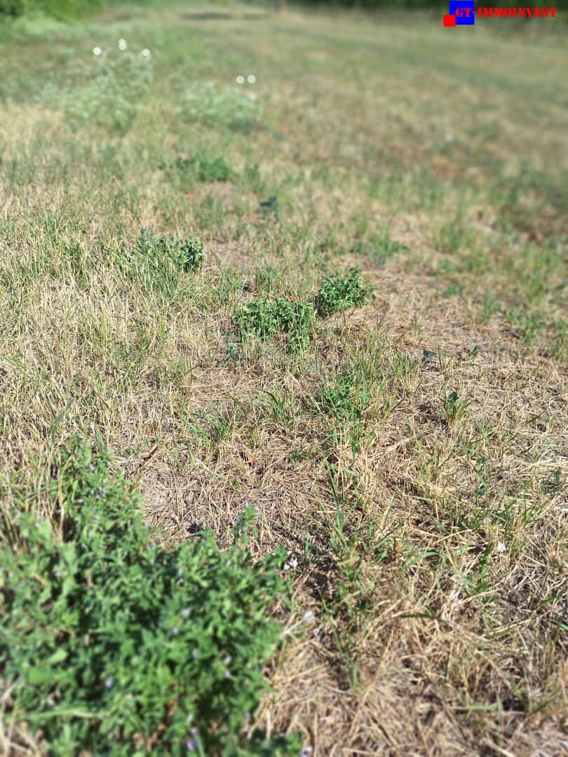 7092 Winden/See sehr interessanter 546m² Südgrund in ruhiger Ortsrandlage !