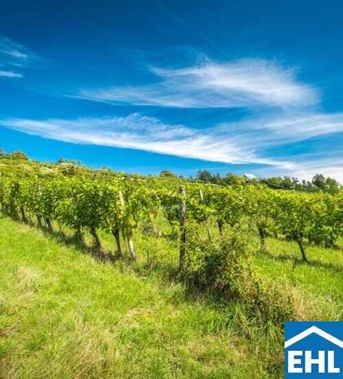 Grundstück mit Weingarten in Döblinger Bestlage