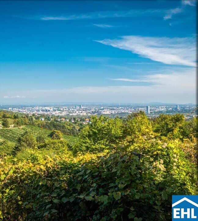 Grundstück mit Weingarten in Döblinger Bestlage