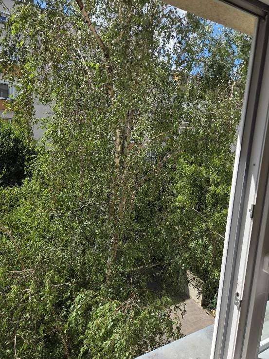 Helle Wohnung mit Blick in den grünen Innenhof und Aufzug