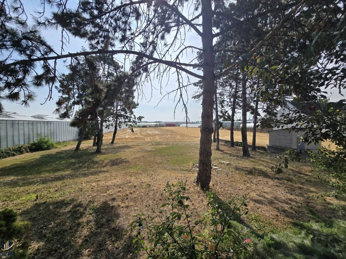 Großer Grund, viel Platz, 7 Zimmer, Ruhelage