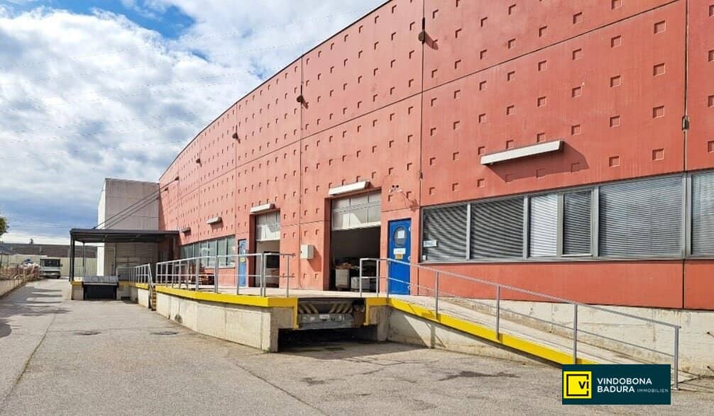Bright office, exhibition and commercial space with two halls in prime location of 1230 Vienna