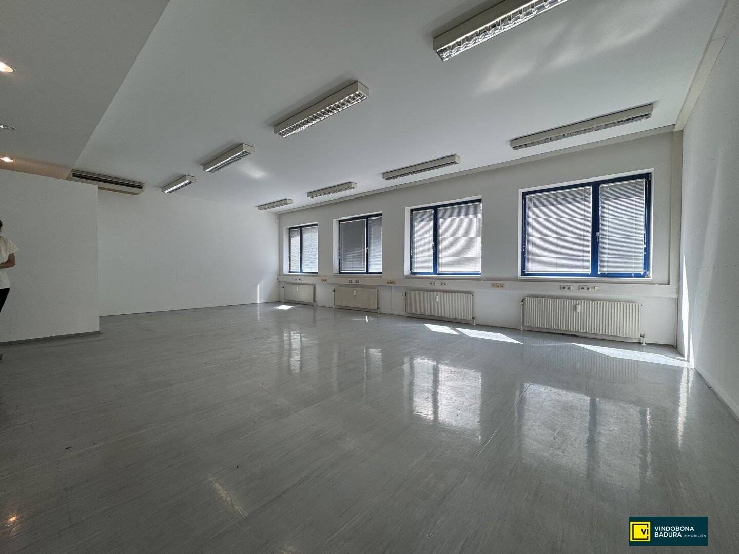 Bright office, exhibition and commercial space with two halls in prime location of 1230 Vienna