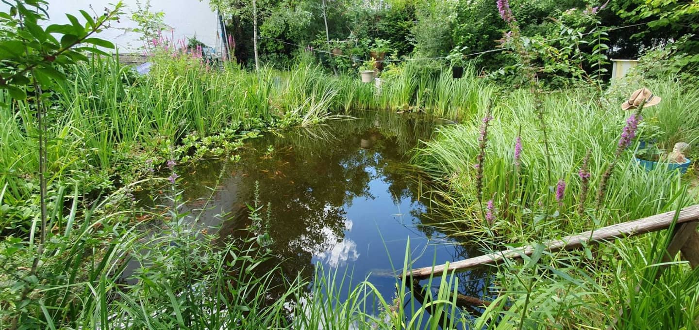 Hietzinger Rarität am Napoleonwald – Grundstück mit Naturteich in absoluter Ruhelage