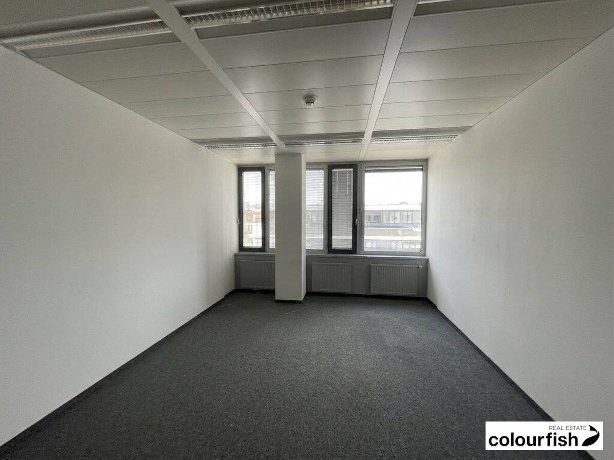 Immobilienbild 4