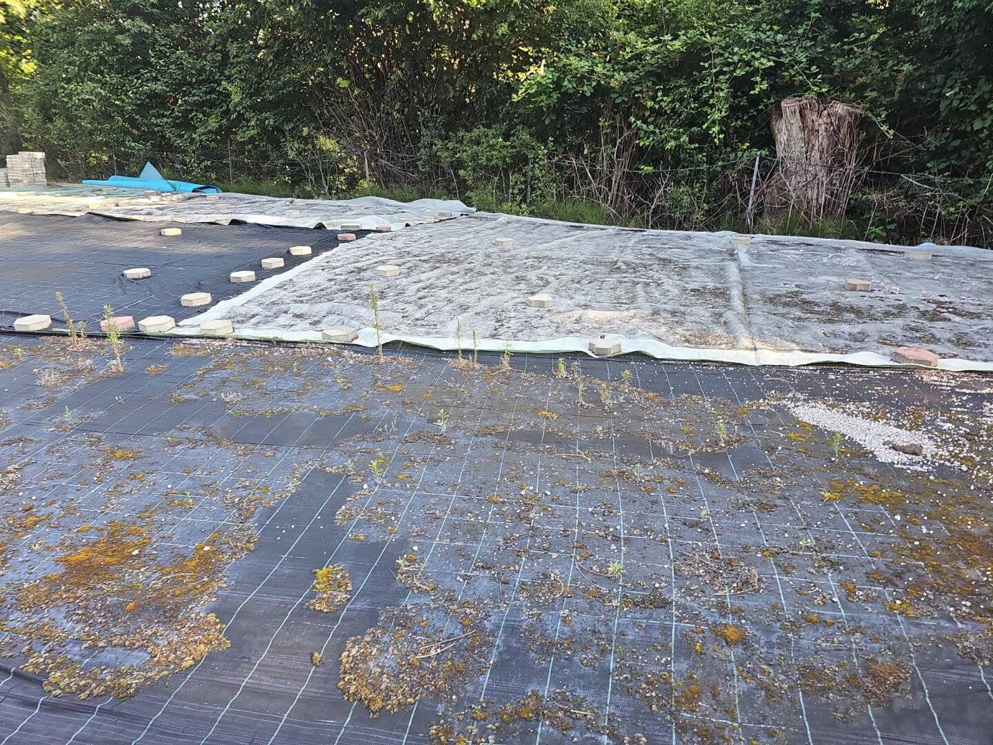 Graz-Nord/Judendorf: Günstige freistehende Lagerfläche mit ca. 870m² zu vermieten!