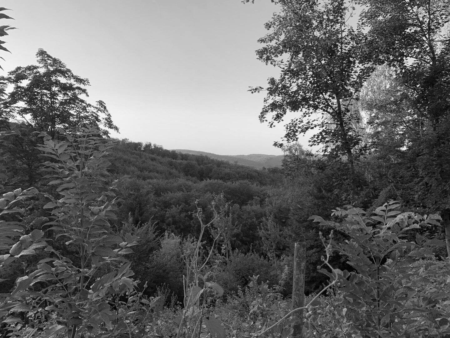 Your new plot for your dream house steep hillside location