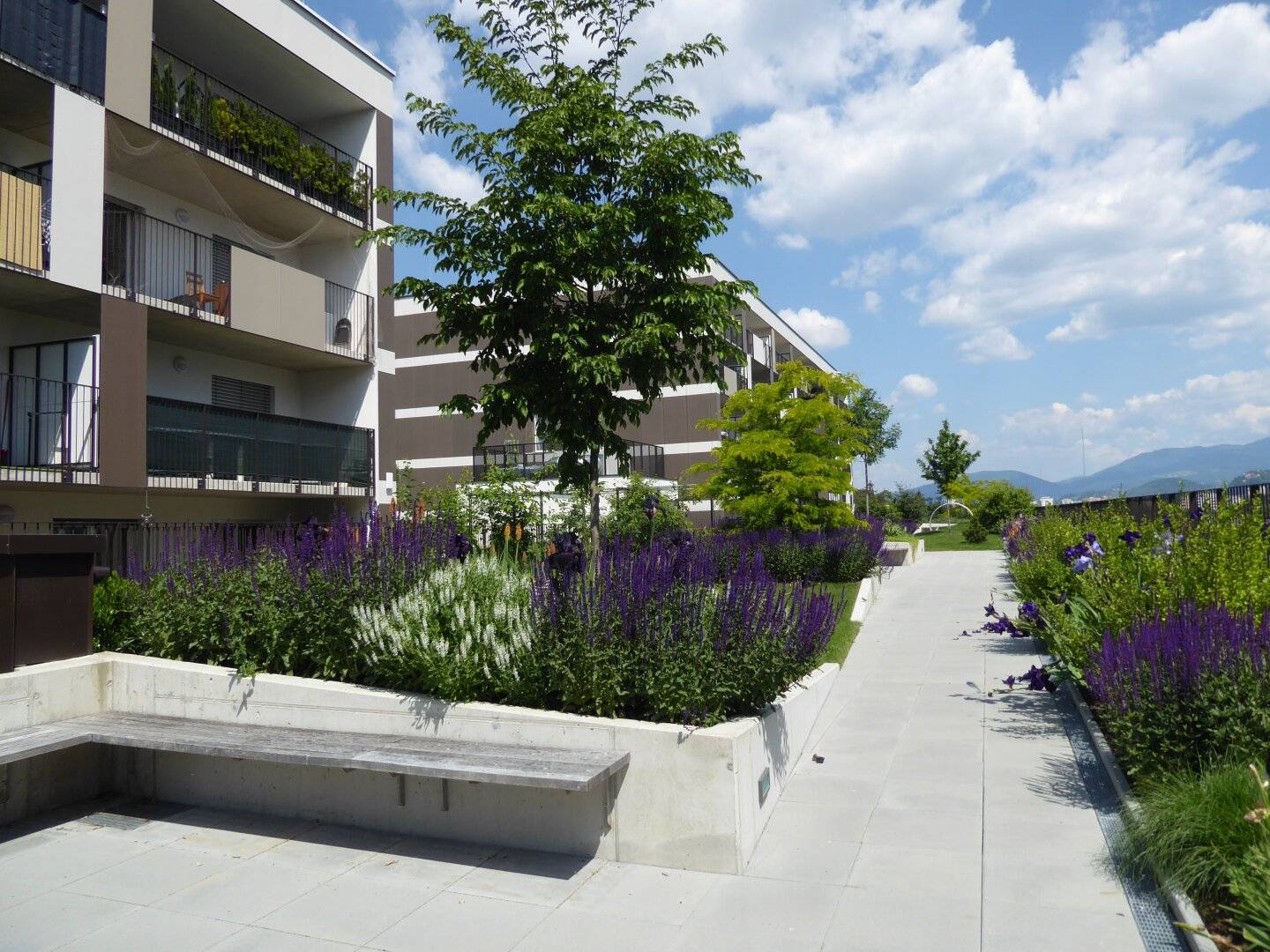 Charmante 2-Zimmer Gartenwohnung