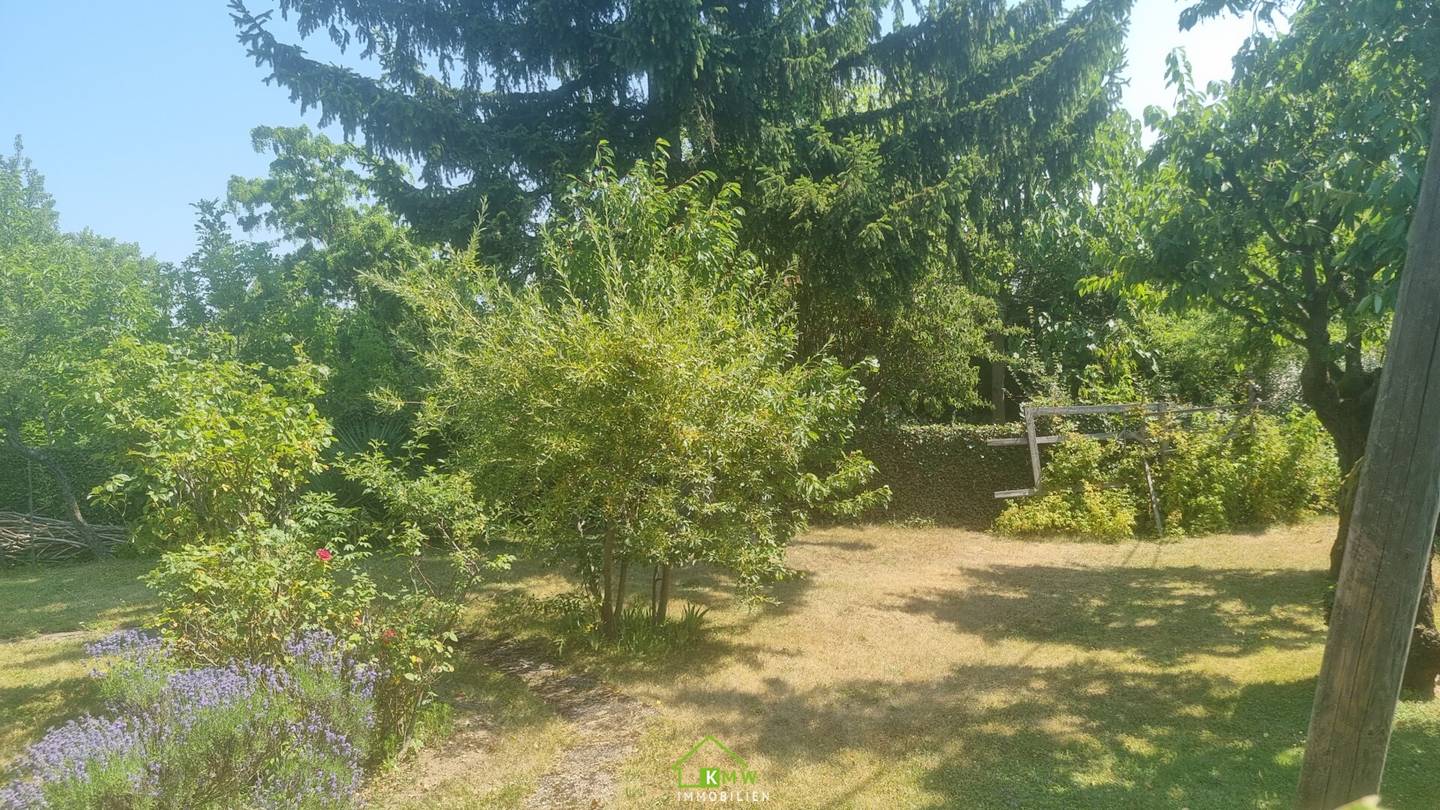 Dream plot on the Heuberg: Green oasis with potential for your individual villa project