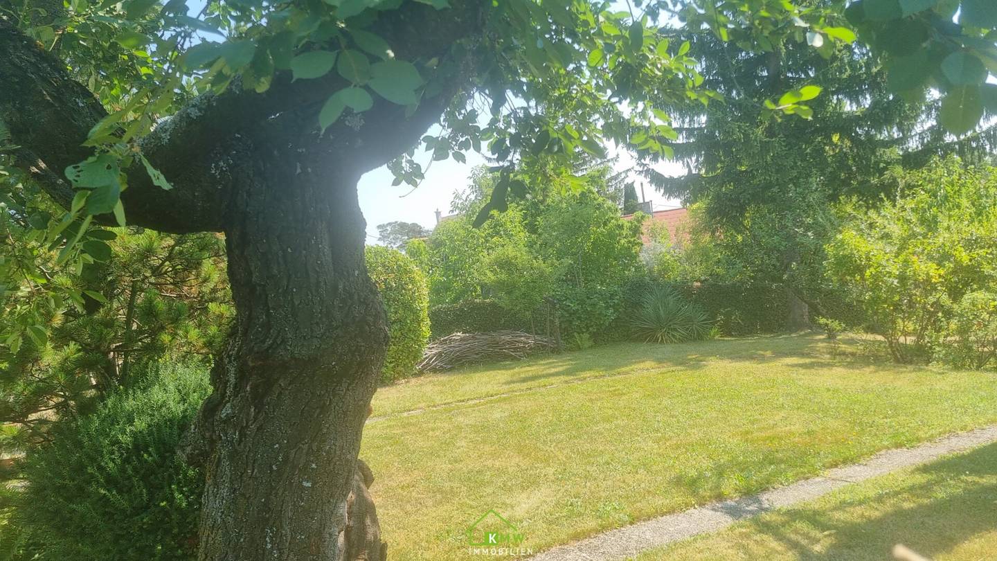 Dream plot on the Heuberg: Green oasis with potential for your individual villa project
