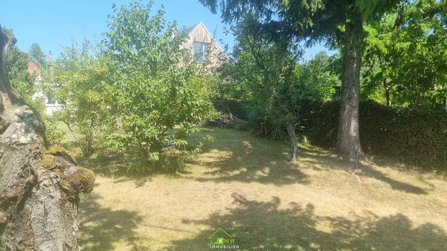 Dream plot on the Heuberg: Green oasis with potential for your individual villa project