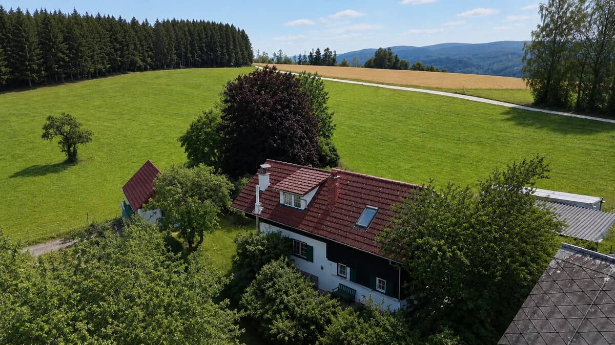 Ruhig gelegene Familienwohnung mit separatem Gästehaus