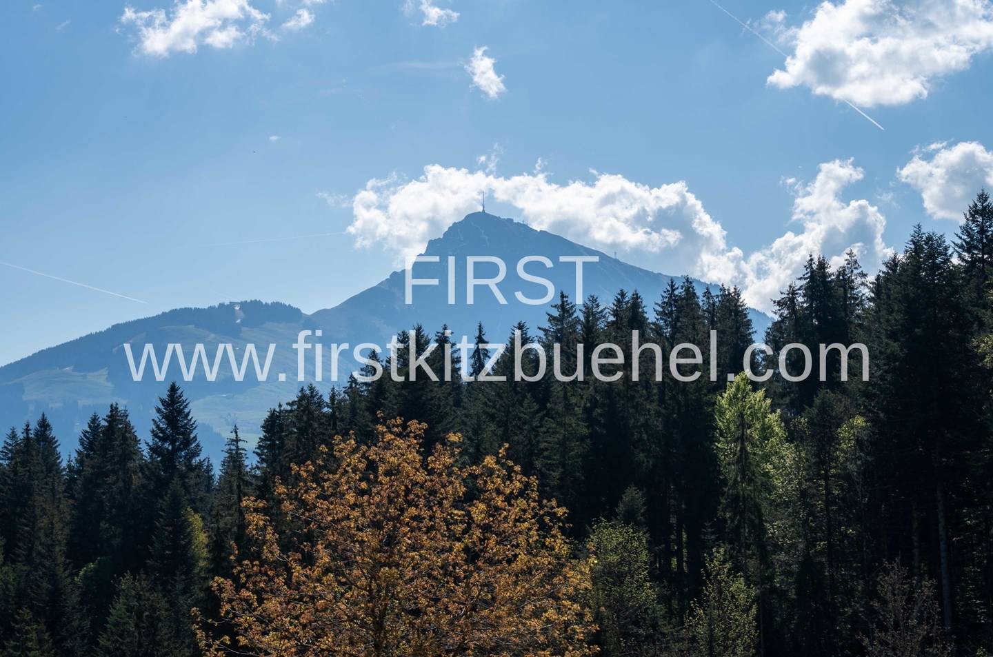 Sonnige Ferienwohnung mit Terrasse und Sauna
