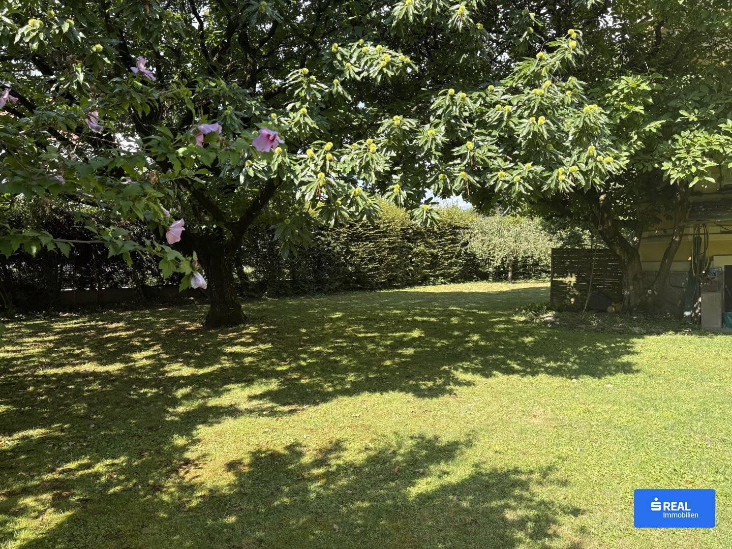 Representative practice or office space in the historic Enzinger Villa