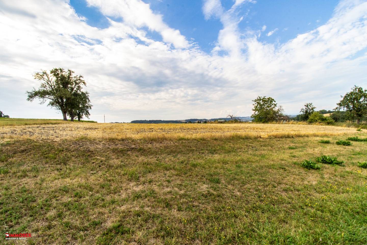 Register now! Building plots with flexible division