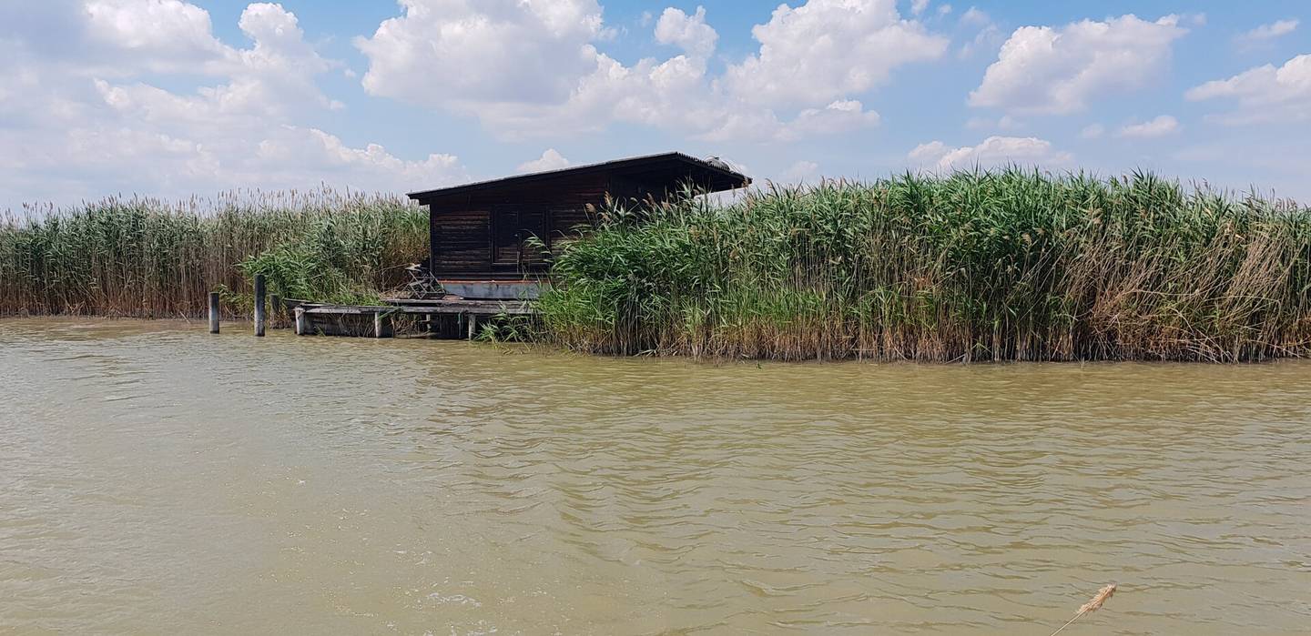 Abbruchreife Seehütte in ruhiger Lage der Ruster Südbucht