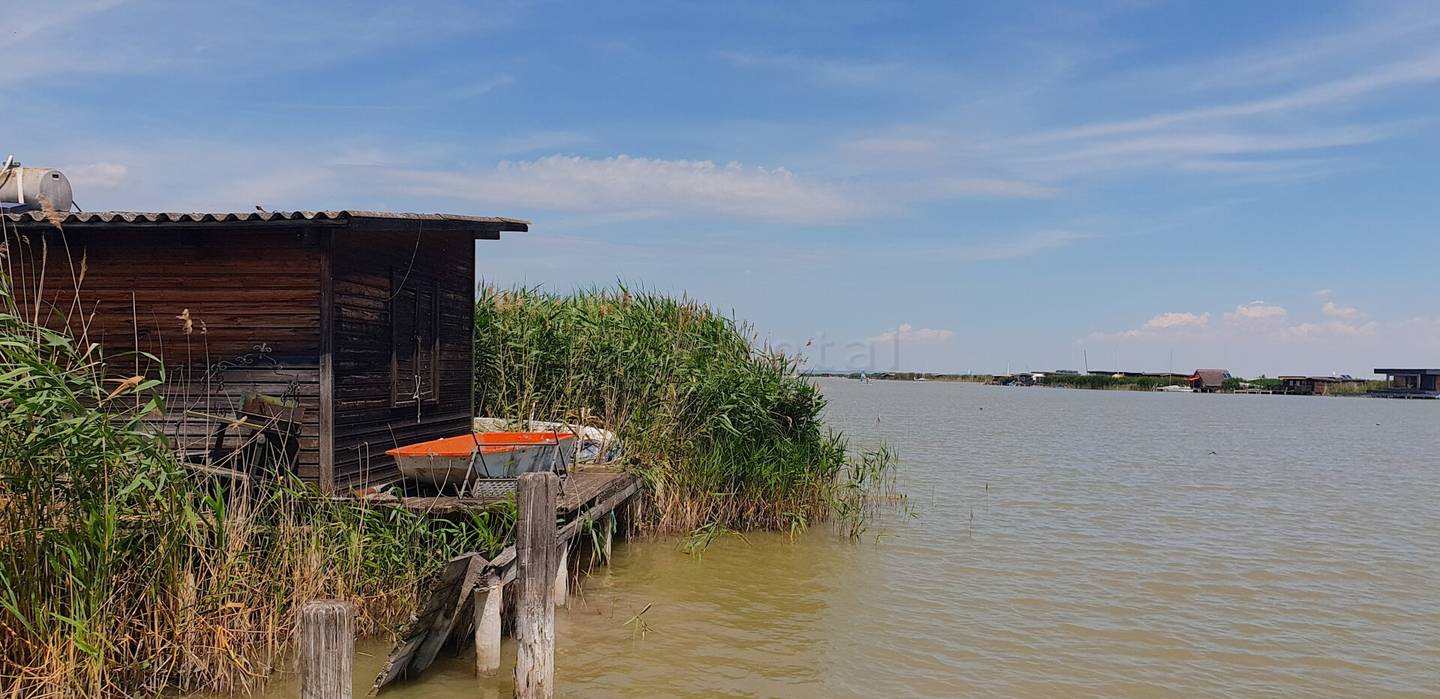 Abbruchreife Seehütte in ruhiger Lage der Ruster Südbucht