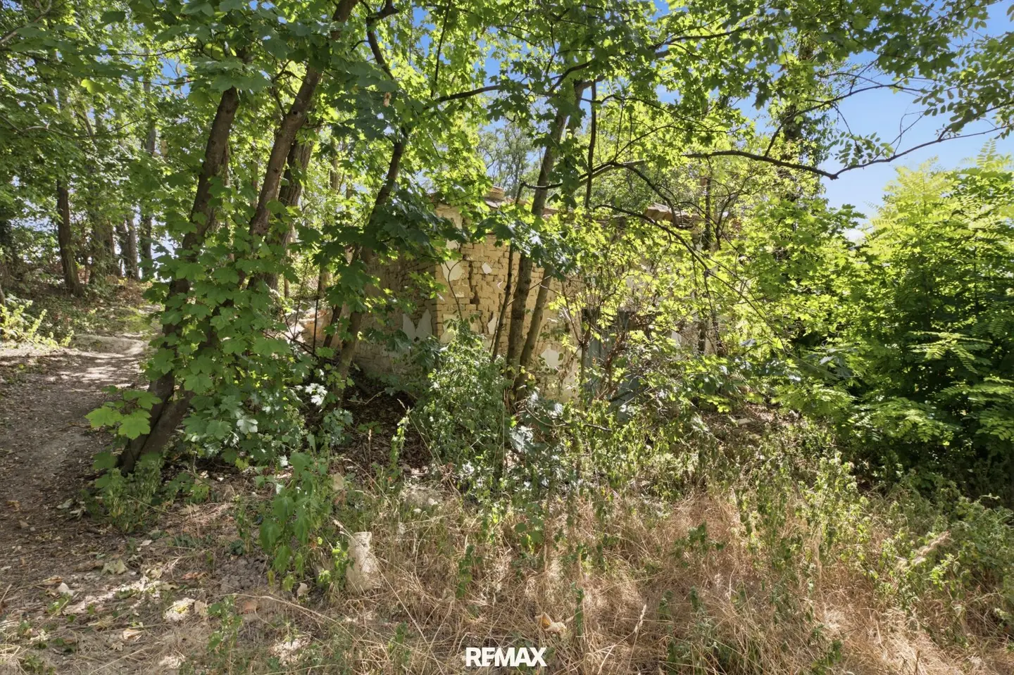 Renovate or rebuild? Historic wine cellar building plot in Untermallebarn