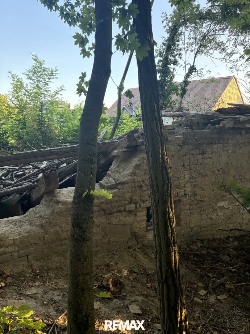 Sanieren oder neu bauen? Historischer Weinkeller-Bauplatz in Untermallebarn