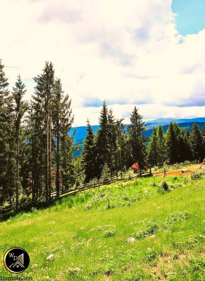 Alpen-Baugrundstück, voll aufgeschlossen auf 1.250 Metern Seehöhe!