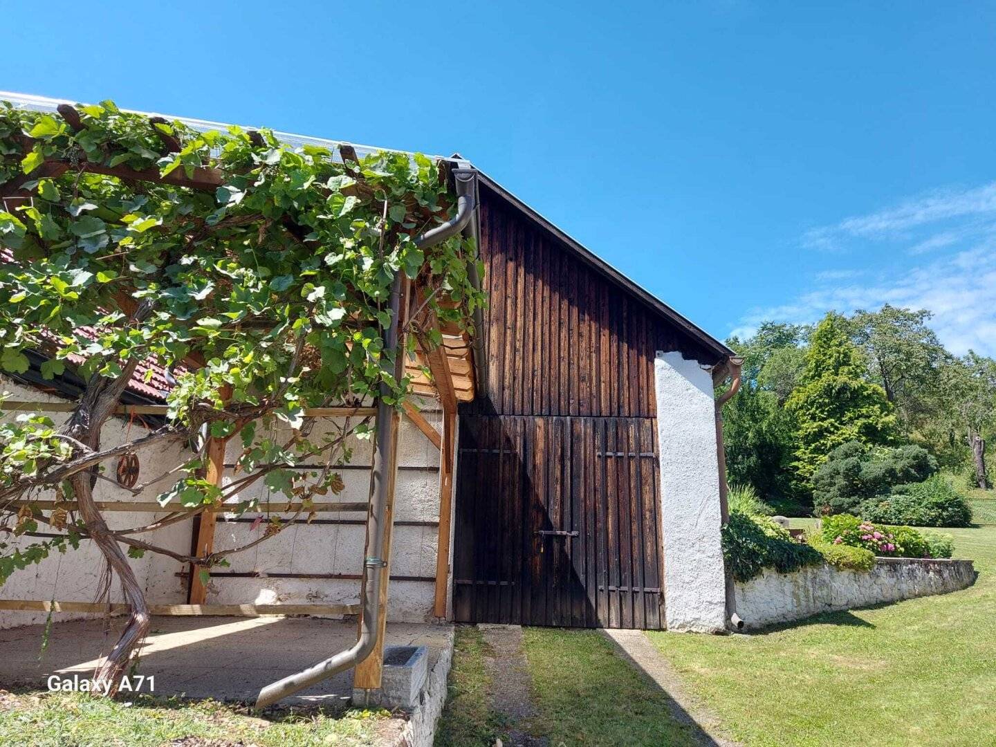 Historisches Landhaus + Wohnhaus + Presshaus + 2 landwirtschaftliche Flächen in Senftenberg