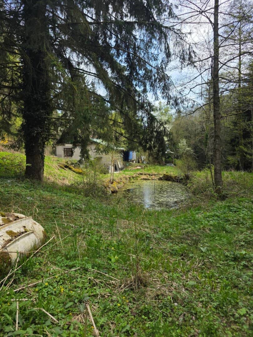 Altes Sacherl Nähe Maria Taferl + 1ha Wald &amp; Wiesen