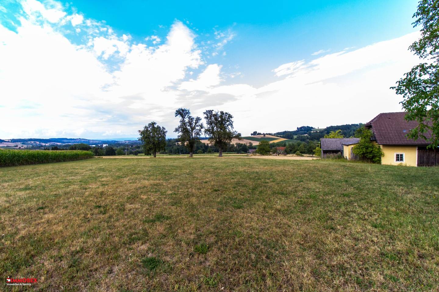 5000m² Grundstück - mit Altbestand